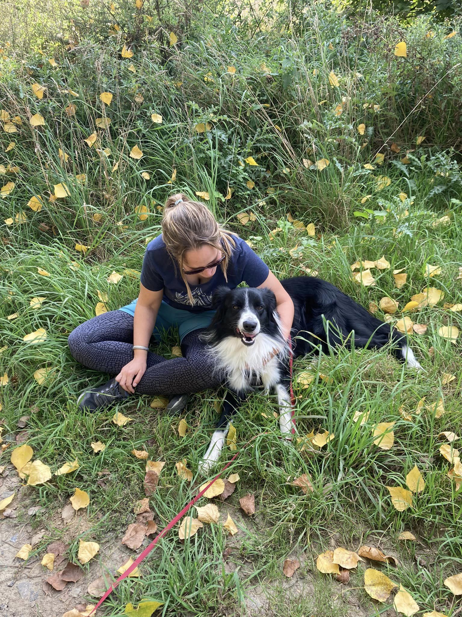 ARTICLE 2 – Educateur ou Comportementaliste Canin : Quelles différences ?