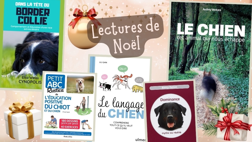 ARTICLE 5 – Cinq livres à poser sous le sapin
